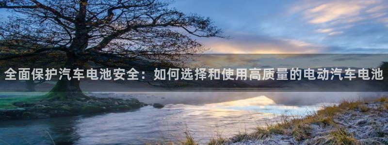 优发国际手机客户端：全面保护汽车电池安全