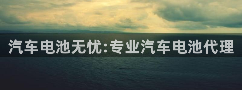 优发国际游戏17：汽车电池无忧:专业汽车电池代理