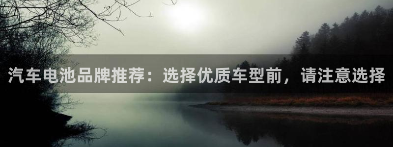 优发国际顶级：汽车电池品牌推荐：选择优质车型前，请注意选择