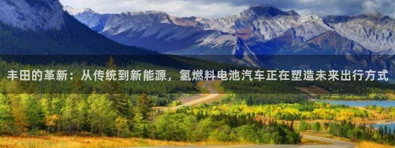 优发国际网官