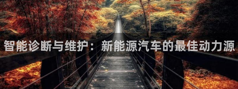 优发国际官网手机版代理：智能诊断与维护：新能源汽车的最佳动力源