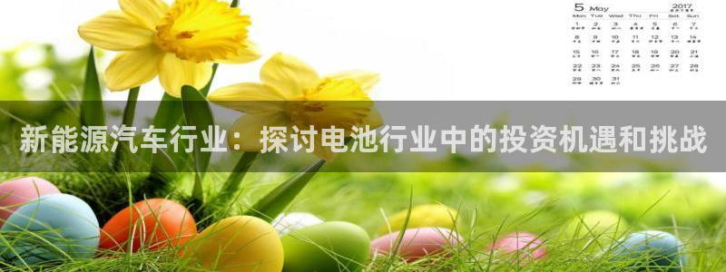 优发国际在哪里下载：新能源汽车行业：探讨电池行业中的投资机遇和挑战
