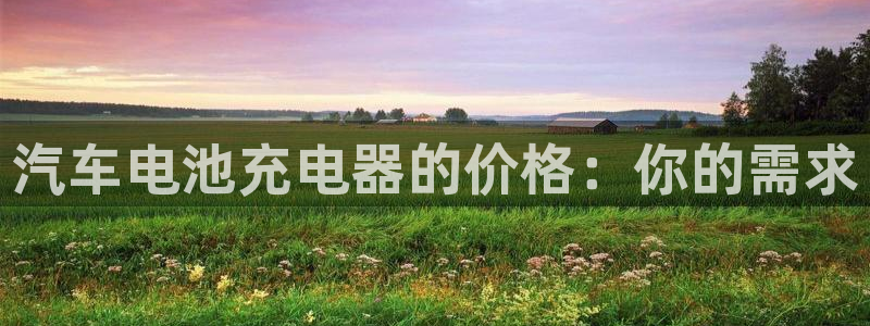 优发国际下载：汽车电池充电器的价格：你的需求