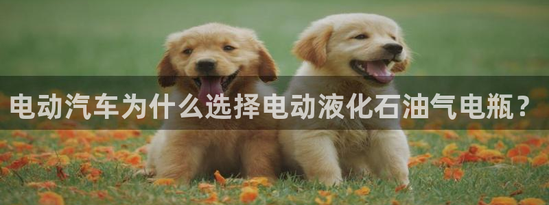 优发国际合并到哪里了最新消息