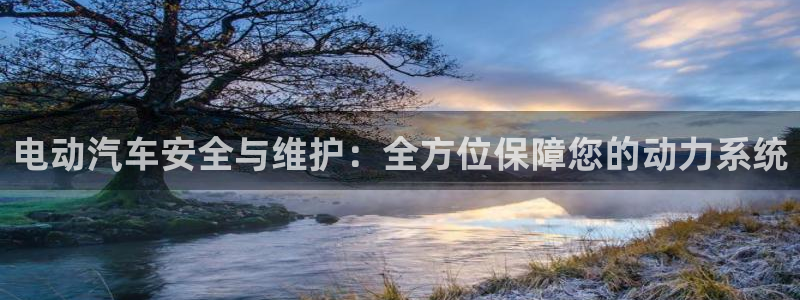 优发国际手机版下载官网：电动汽车安全与维护：全方位保障您的动力系统