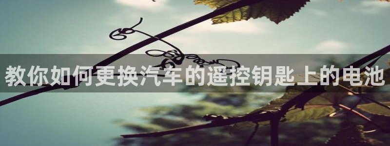 优发国际手机app下载安装官网：教你如何
