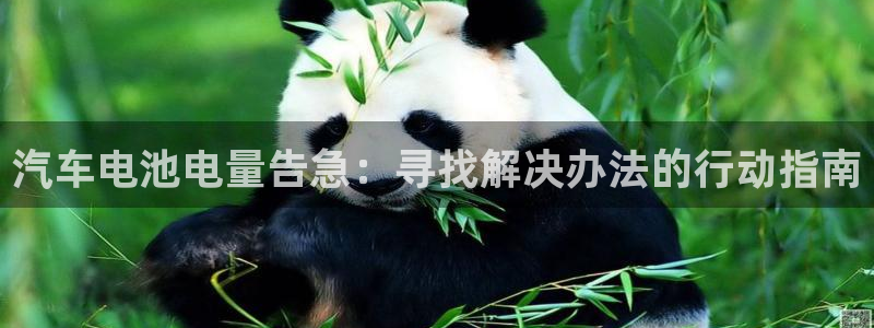 优发国际官网登录：汽车电池电量告急：寻找解决办法的行动指南