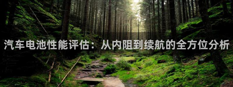 优发国际网站178：汽车电池性能评估：从