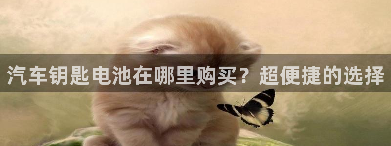 优发国际是真的吗：汽车钥匙电池在哪里购买？超便捷的选择