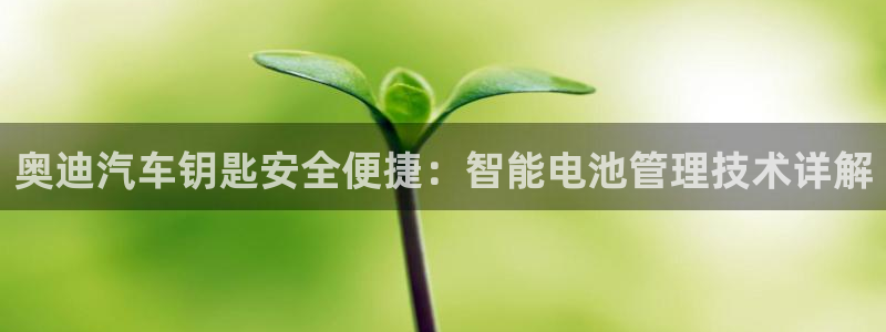优发国际注册平台怎么样：奥迪汽车钥匙安全便捷：智能电池管理技术详解