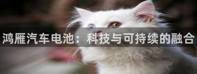 优发国际平台18：鸿雁汽车电池：科技与可