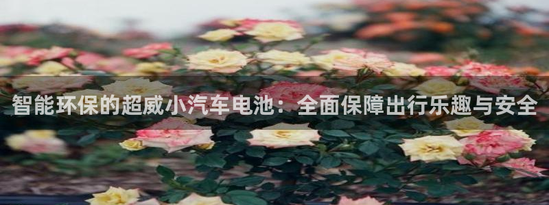 优发国际平台手机版下载：智能环保的超威小汽车电池：全面保障出行乐趣与安全