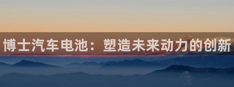 优发国际官网下载安装：博士汽车电池：塑造