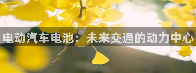 优发国际登录r8