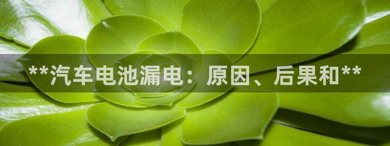 优发国际注册17