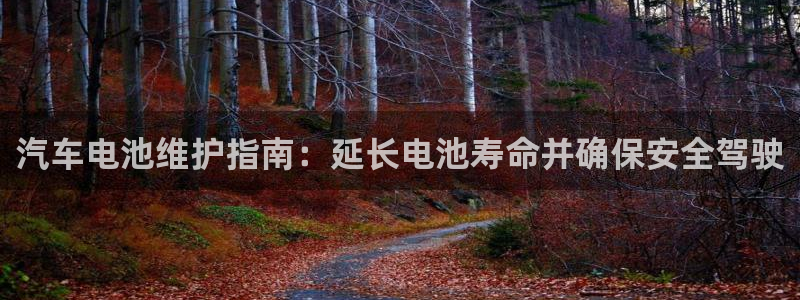 优发国际手机登录下载安装官网