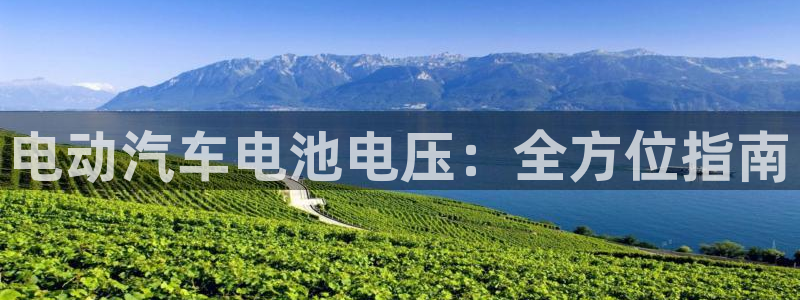 优发国际注册17