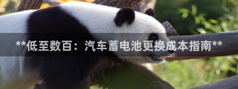 优发国际手机版网站官网