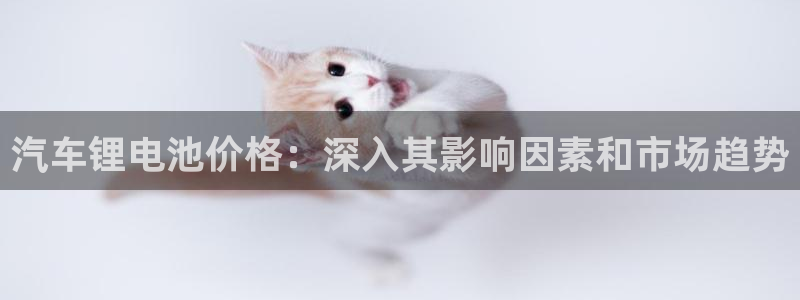 优发国际手机客户端下载安装