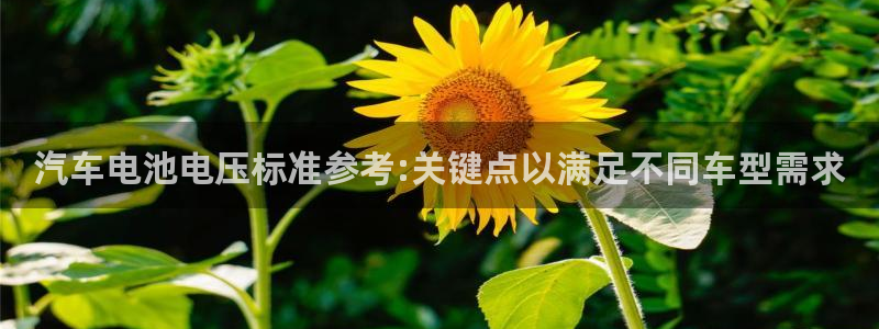 优发国际官方网手机版下载安装