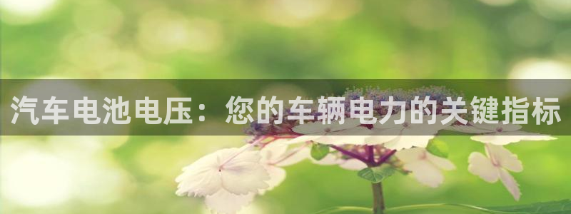 优发国际亚洲平台：汽车电池电压：您的车辆电力的关键指标