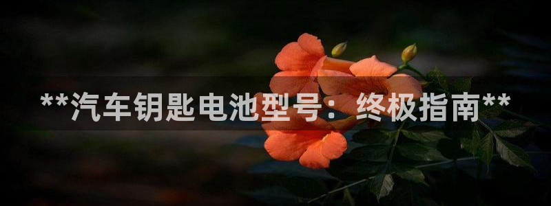 优发国际官网手机号