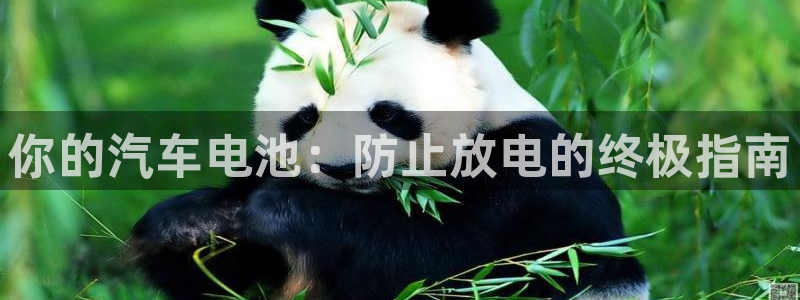 优发国际官网值是多少：你的汽车电池：防止放电的终极指南
