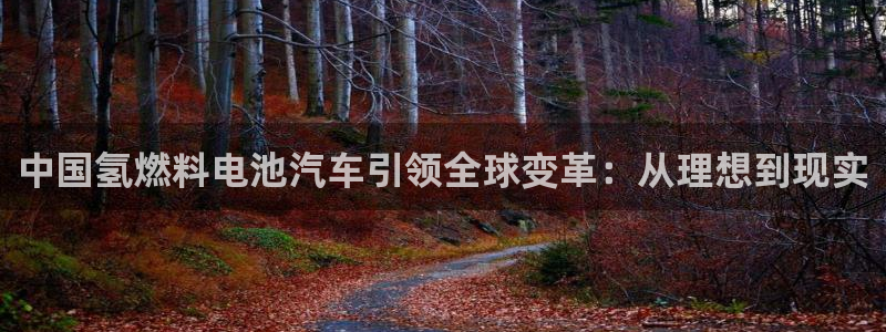 优发国际官方下载app：中国氢燃料电池汽车引领全球变革：从理想到现实