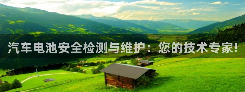 优发国际官网登录：汽车电池安全检测与维护：您的技术专家!