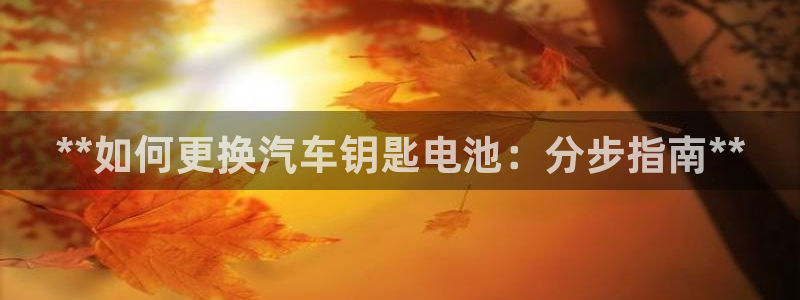 优发国际登陆：**如何更换汽车钥匙电池：分步指南**