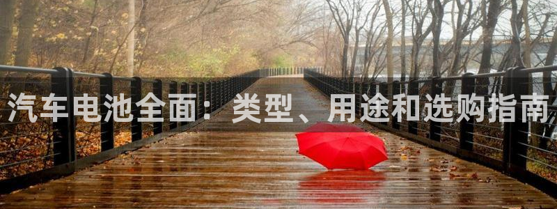 优发国际手机版客户端官网：汽车电池全面：类型、用途和选购指南