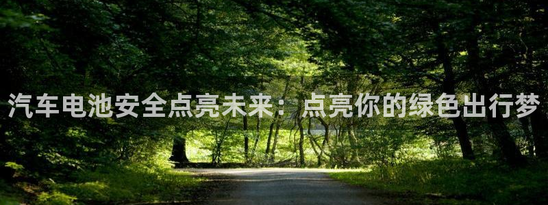 优发国际平台网站：汽车电池安全点亮未来：点亮你的绿色出行梦
