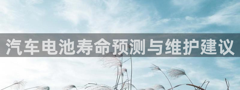 优发国际登录：汽车电池寿命预测与维护建议